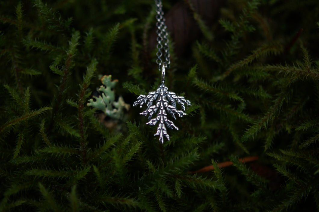 Cedar Sprig Pendant - petite