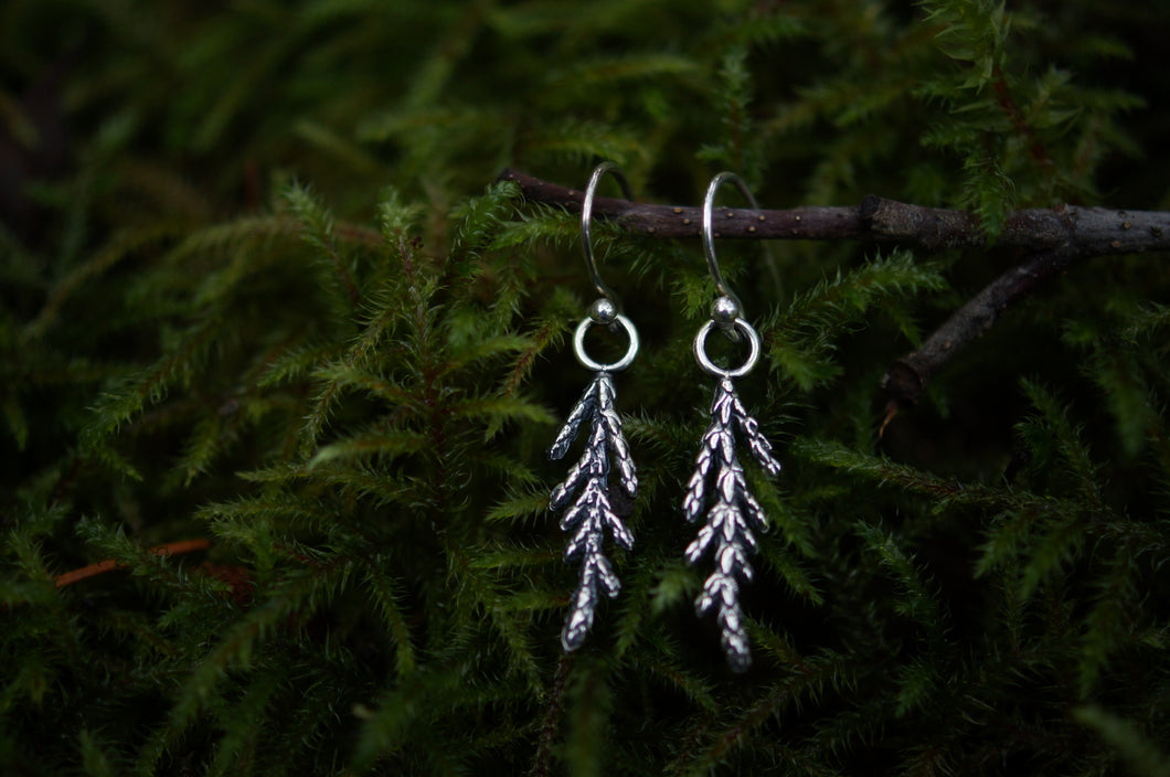 Cedar Sprig Earrings