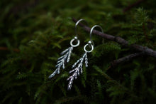 Load image into Gallery viewer, Cedar Sprig Earrings
