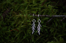 Load image into Gallery viewer, Cedar Sprig Earrings
